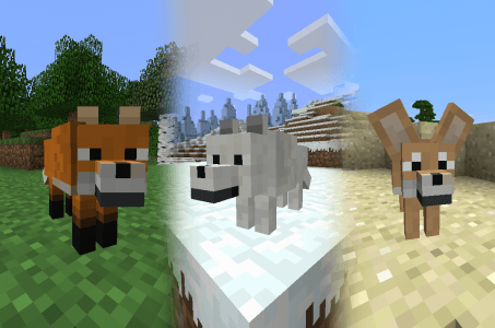 Different types of Foxes in Minecraft