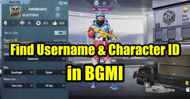 How To Find Bgmi Username Ign And Character Id Playerzon Blog