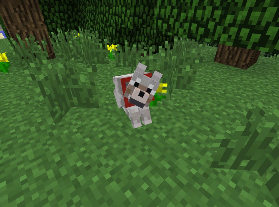 Tamed dog Minecraft