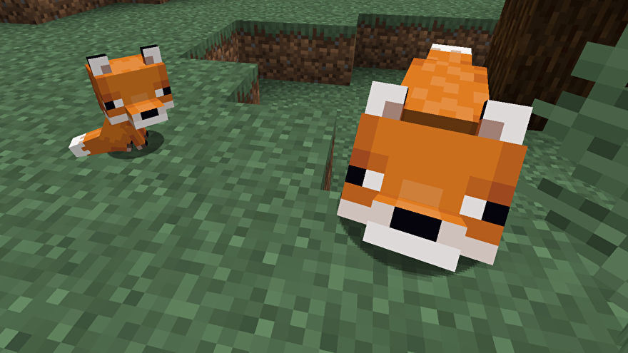 minecraft how to tame fox