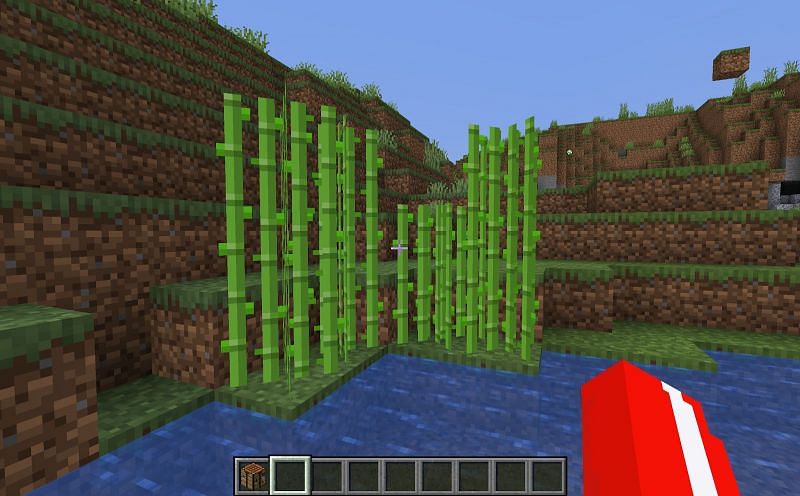 Finding of the sugarcane in Minecraft