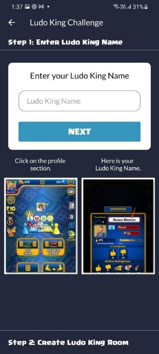Enter Ludo King Name