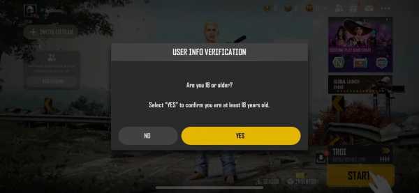 PUBG New State Age Restrictions
