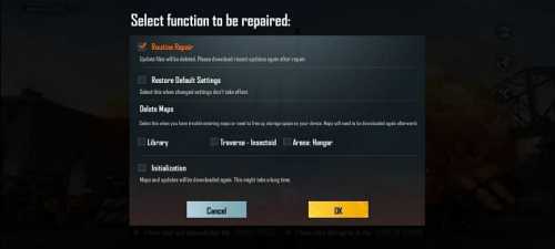 Select Routine Repair option